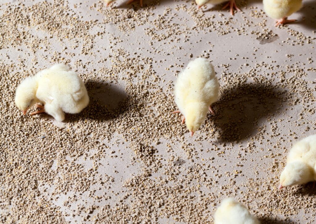 Blog jurato bedrijfsjuristen Wanneer overtreed je écht je vergunning? Dit zegt de rechter